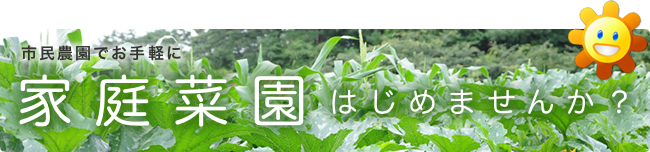 市民農園でお手軽に家庭菜園始めませんか？