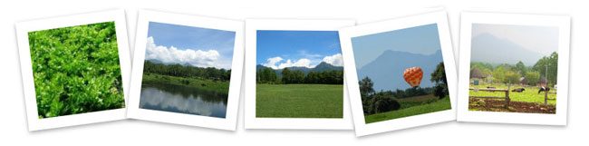 原村