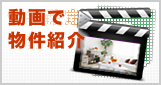 動画で紹介