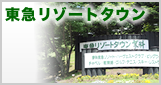 東急リゾートタウンの物件