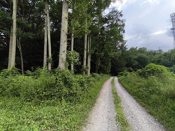 【土地】(360°)長野県諏訪郡原村払沢(エコーライン西)田舎暮らし向け土地 NO.20655詳細ページへ