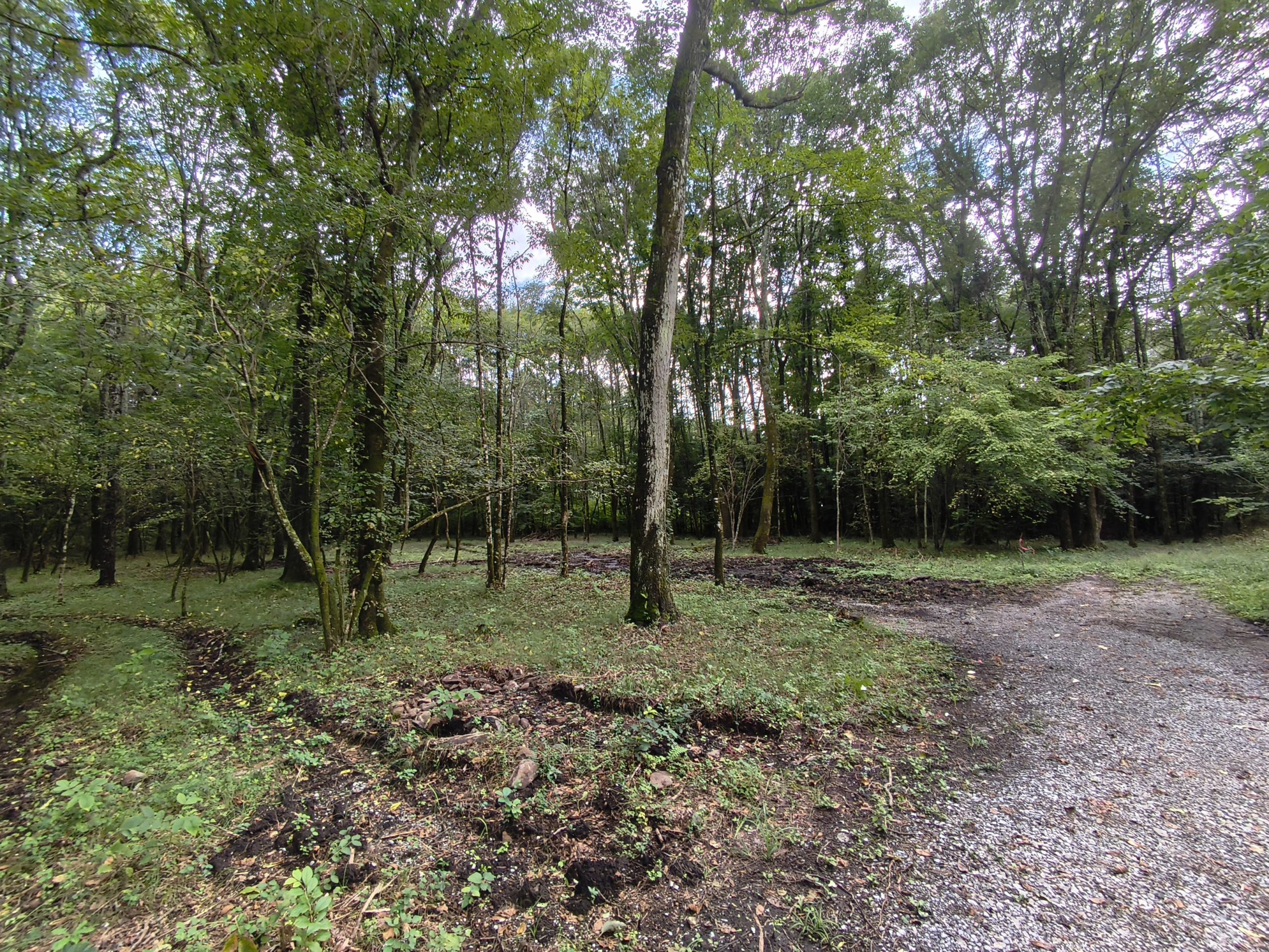 【土地】(360°)諏訪郡原村 エコーライン西エリアの土地1,086坪 NO.34079詳細ページへ